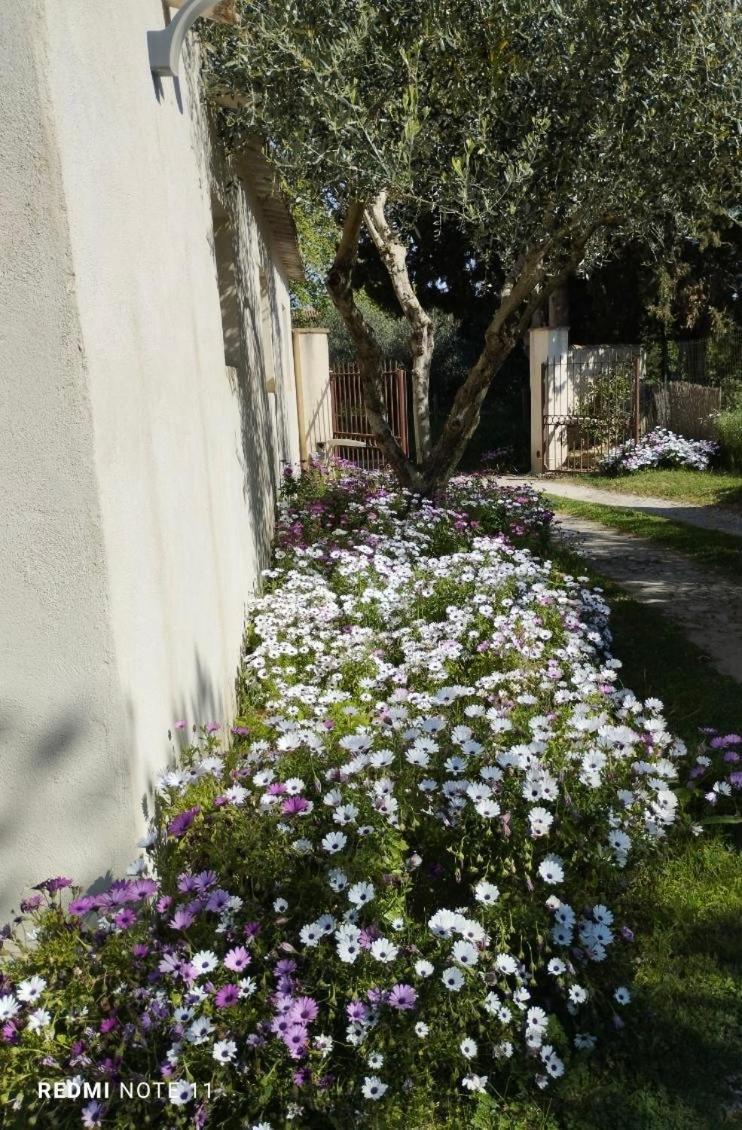 Maison De Campagne En Provence Барбентан Экстерьер фото